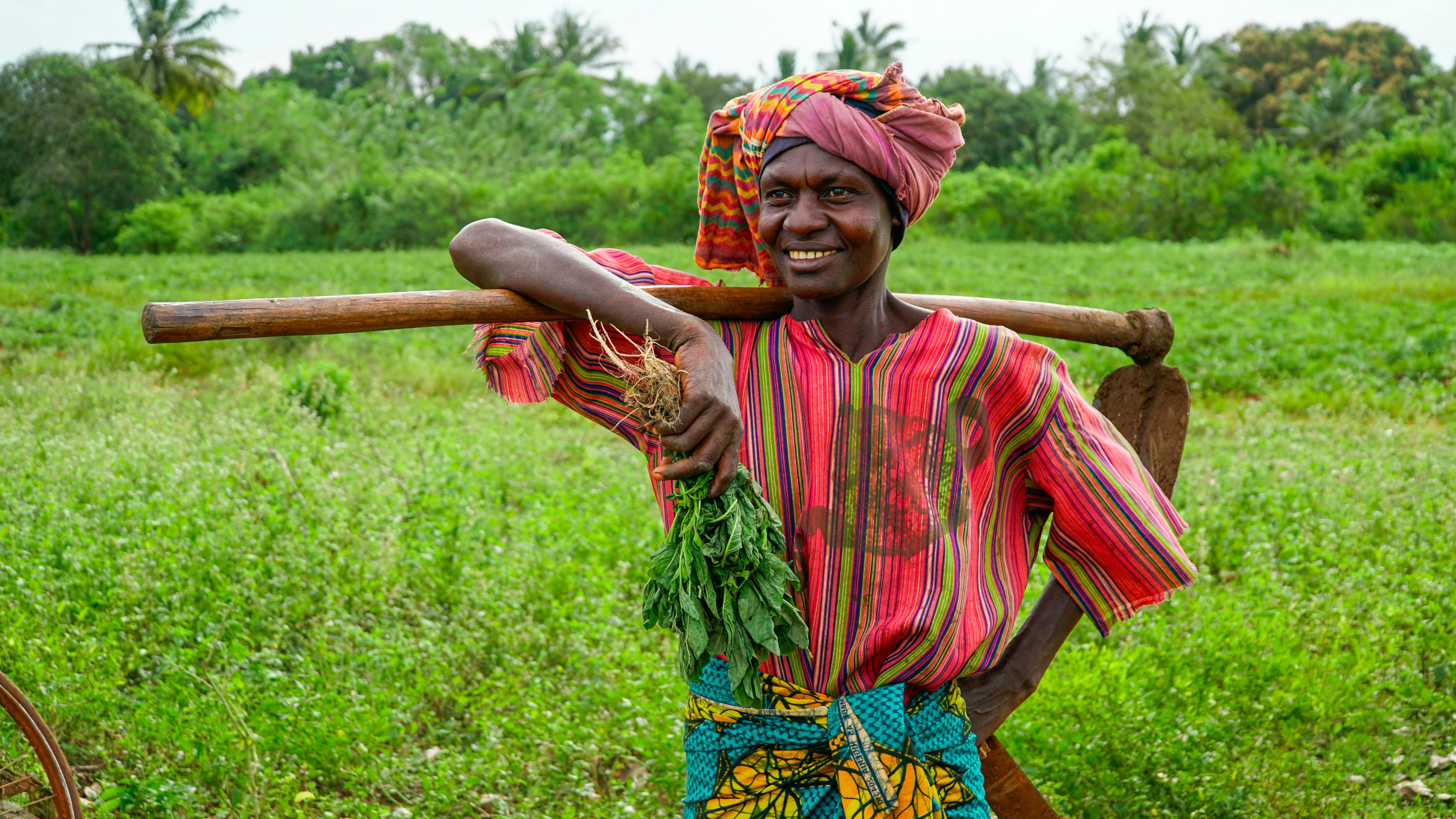 Agriculture Assistance